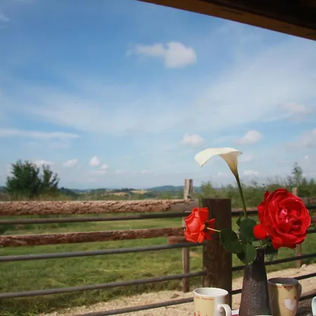 Mobil-home Ferme La Fee Spiruline Aurignac Campsite Aurignac (Haute-Garonne)