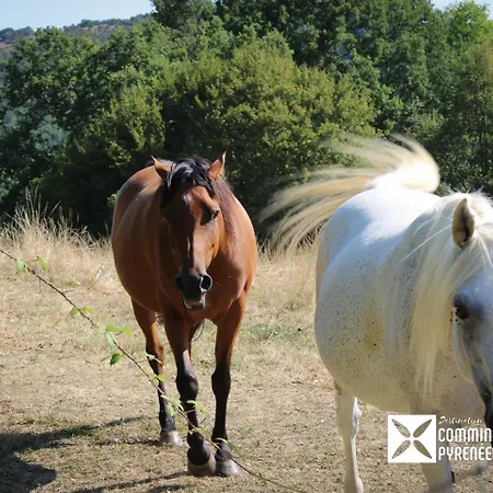 Mobil-home Ferme La Fee Spiruline Parque de Campismo *