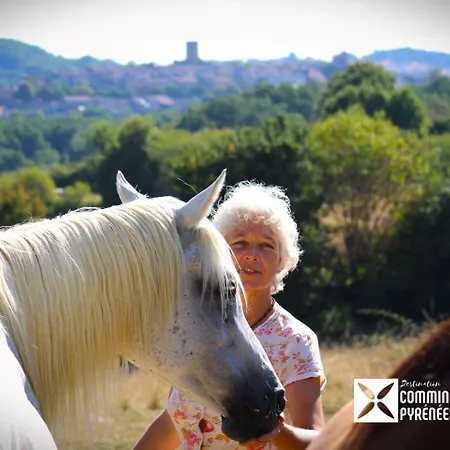 Mobil-home Ferme La Fee Spiruline Aurignac (Haute-Garonne)