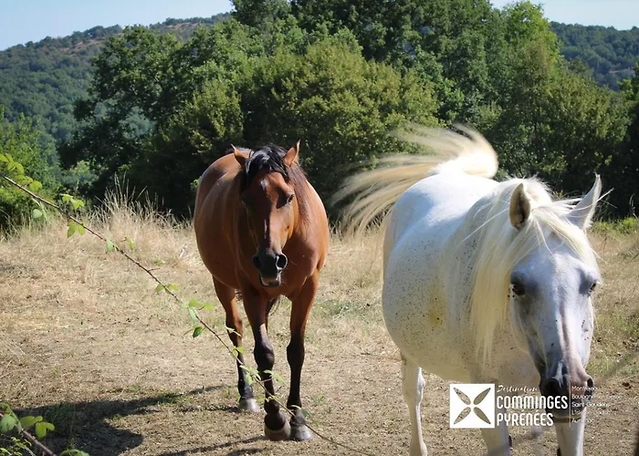 Mobil-home Ferme La Fee Spiruline Kemping *