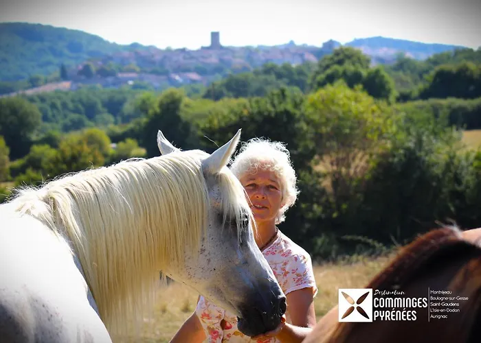 Mobil-home Ferme La Fée Spiruline Aurignac (Haute-Garonne)