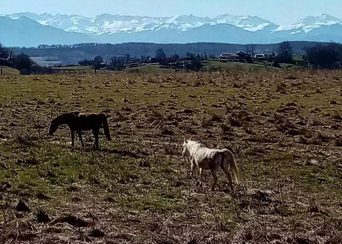Mobil-home Ferme La Fee Spiruline Kemping Aurignac (Haute-Garonne)